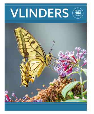Vlinders - Rebo mini guide