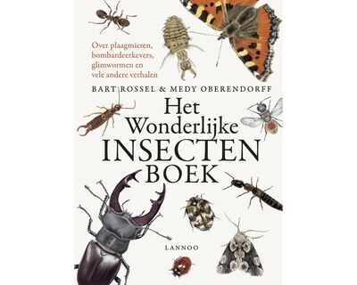 Het wonderlijke insectenboek