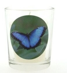 Theelichtjeshouder blauwe morpho Theelichtjeshouder blauwe morpho