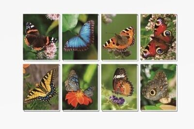 Notitieboekjes vlinders klein formaat | 8 soorten