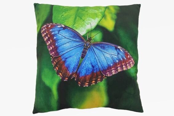 Kussen blauw morpho