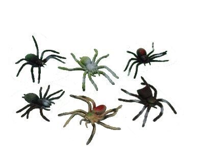 Rekbare spin | 6 soorten