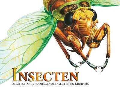 Insecten - De meest angstaanjagende insecten en kruipers