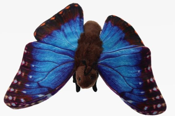 Pluche blauwe morpho