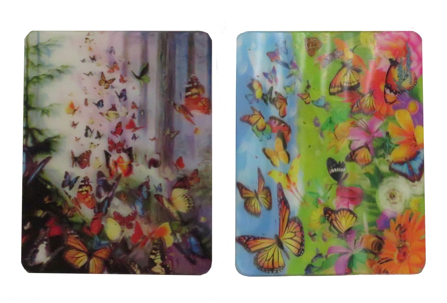 Magneet 3D Vlinders | 2 varianten