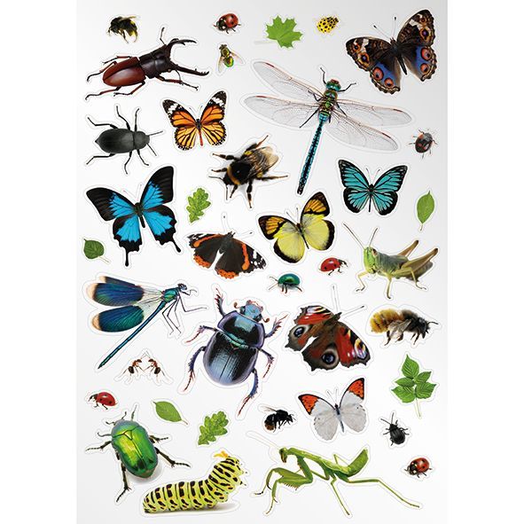 Muursticker insecten