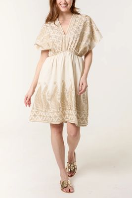 Embroidered V-neck Mini Dress in Stone
