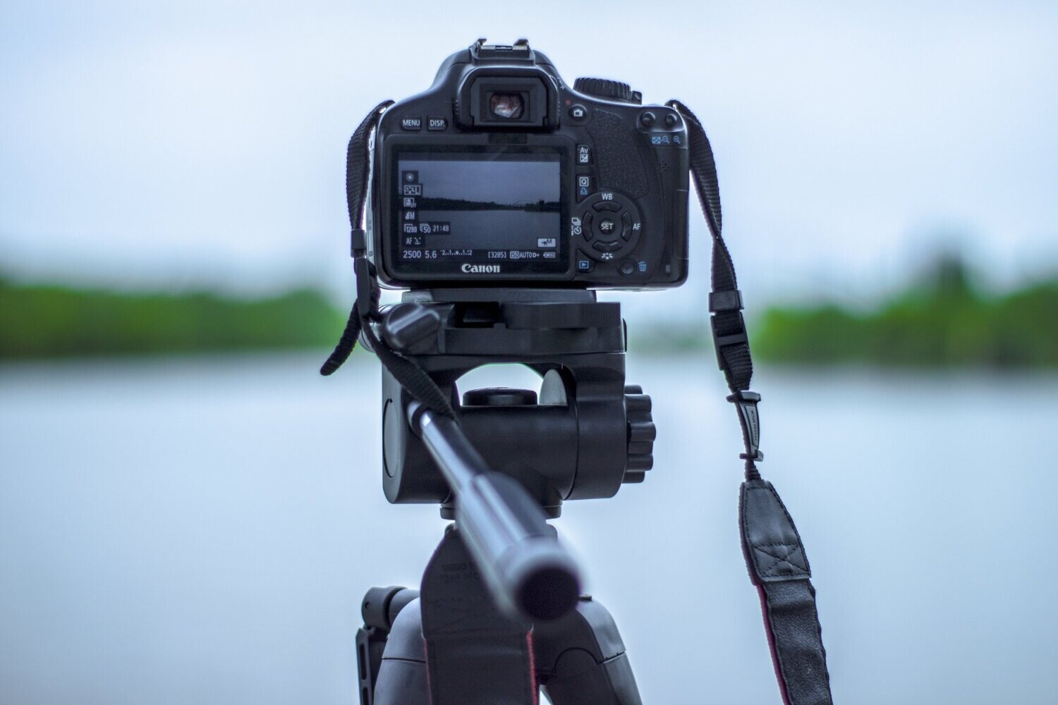 VIDEO STOCK 3