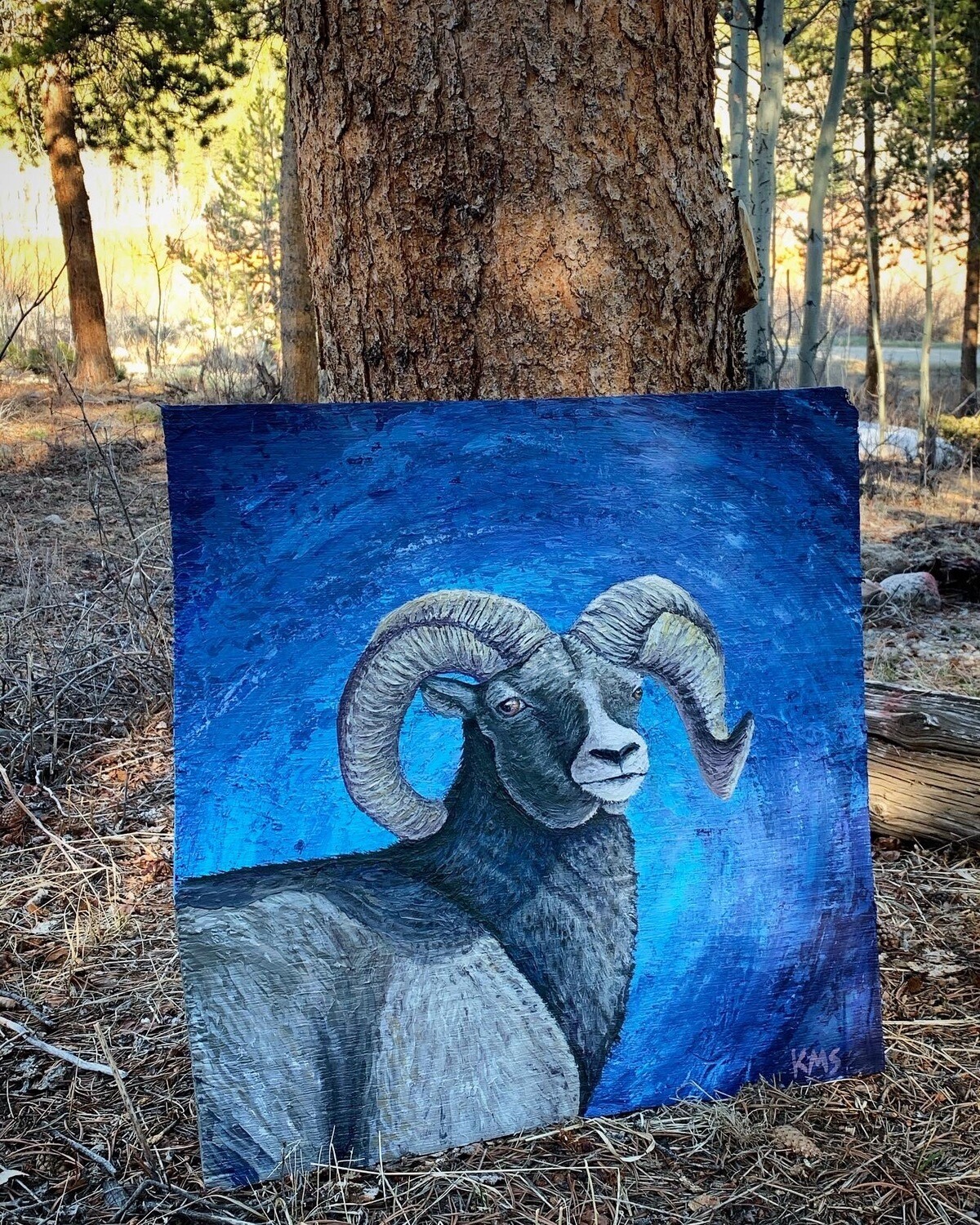 Ram portrait