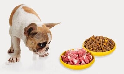 Dog food