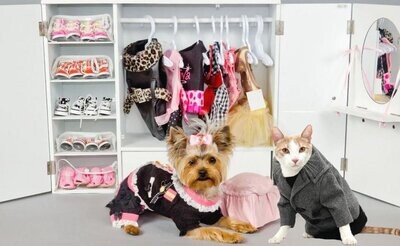 ტანსაცმელი ძაღლებისა და კატებისთვის/одежда для собак и кошек