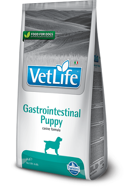 ლეკვის გასტროინტესტინალი/  puppy gastrointestinal