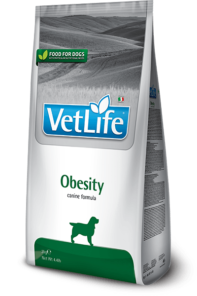 ჭარბი წონის კონტროლი/obesity