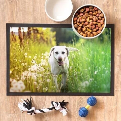 Tappetino - Zerbino Pet  60x40 cm