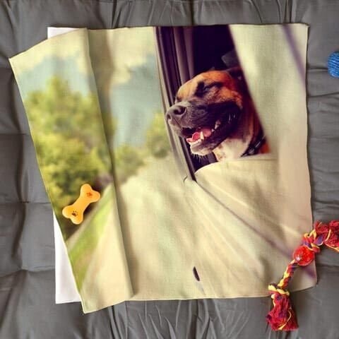 Copertina pet  - 60x90 cm -