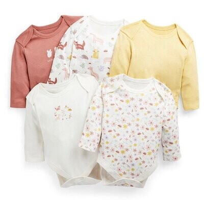 Lot de 5 bodies longues manches mixtes