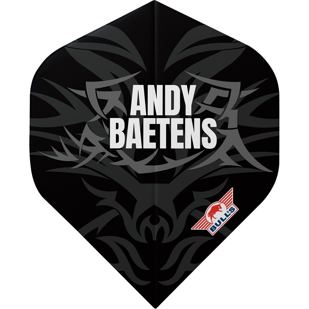 Bull's Player 100 Andy Baetens 80 No.2