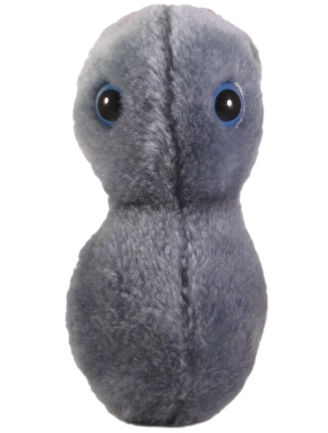 Giant Microbes, Clap, Gonorroe 