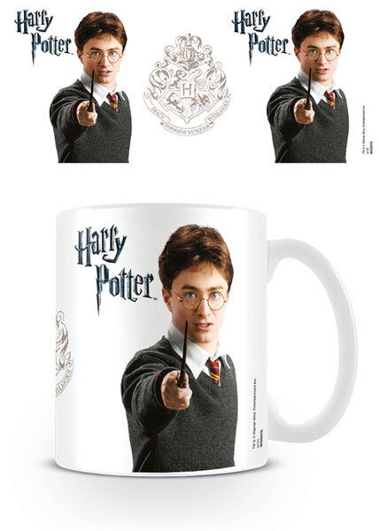 Mok, Harry Potter