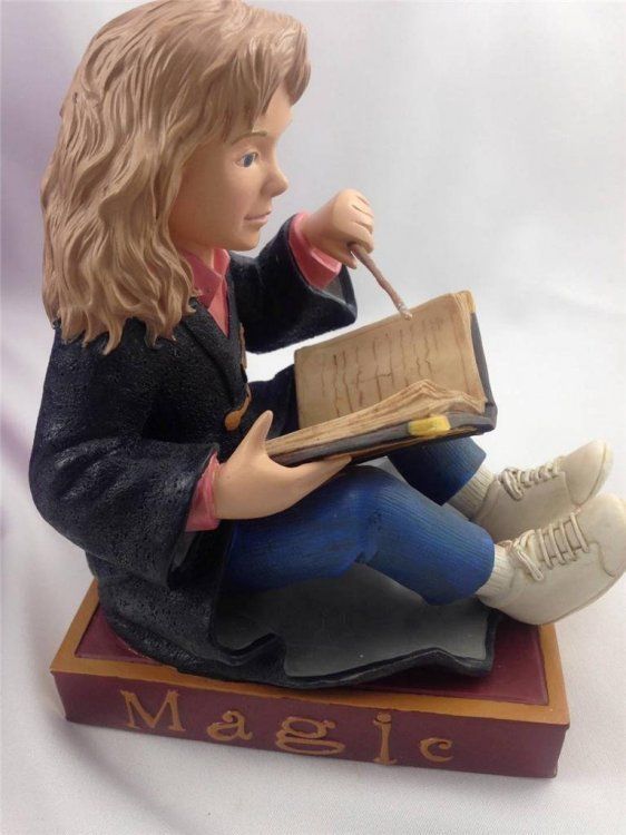Boekensteun, Hermione Granger, Harry Potter