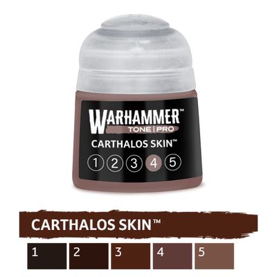 Warhammer Tone Pro: Carthalos Skin 4