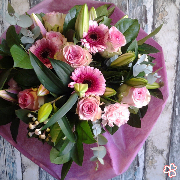 Pink flowers