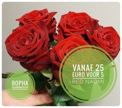 Red roses