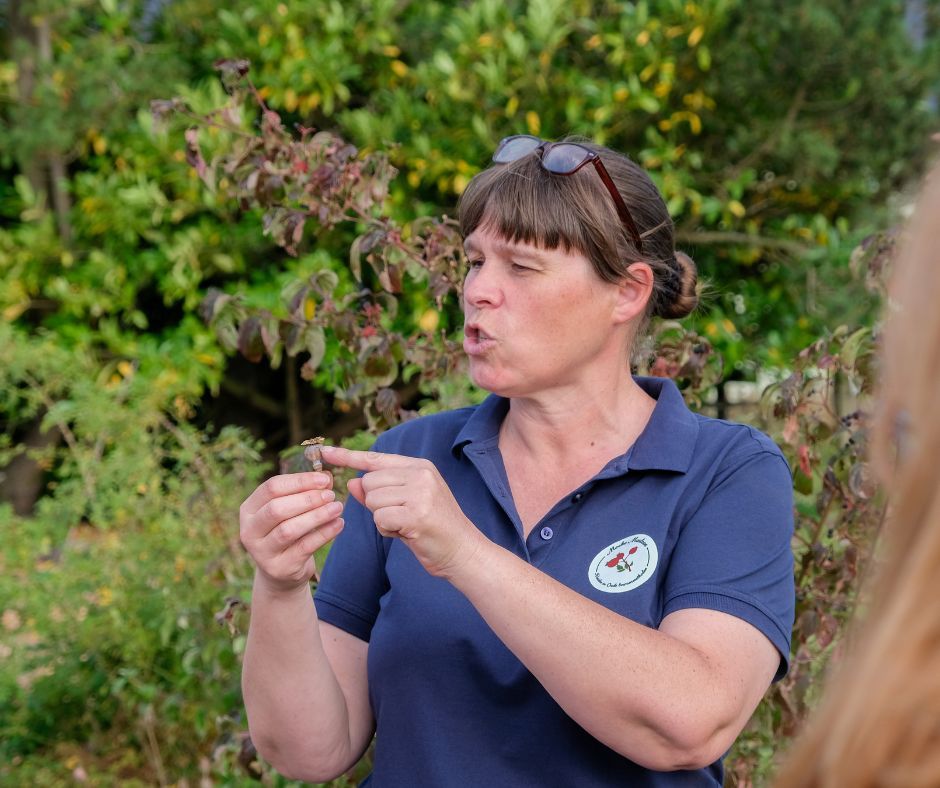 Workshop BBQ&#39;n met wildpluk o.l.v. Moeke Marleen - zaterdag 13 september