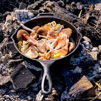 Skillet met steel 25 cm - VALHAL