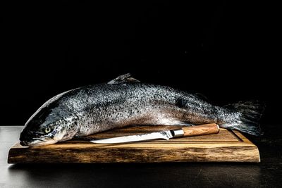 Forged OLIVE Visfileermes