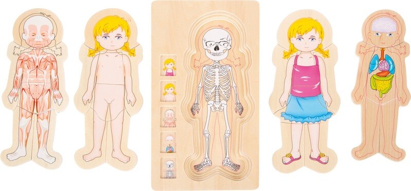 Puzzel anatomie Girl