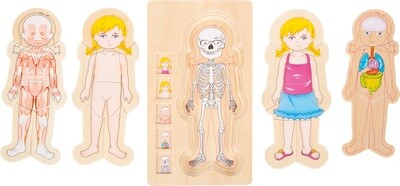 Puzzel anatomie Girl