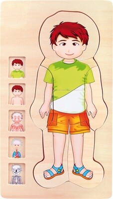 Puzzel anatomie Boy