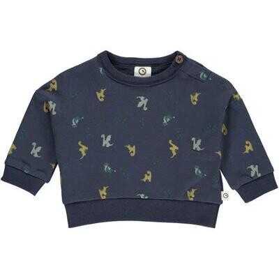 Dragon sweatshirt baby