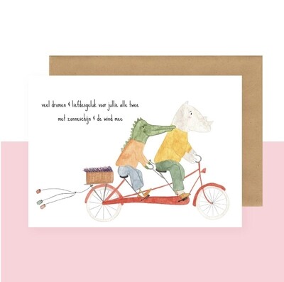 postkaart – veel dromen en liefdesgeluk voor jullie alle twee met zonneschijn en de wind mee