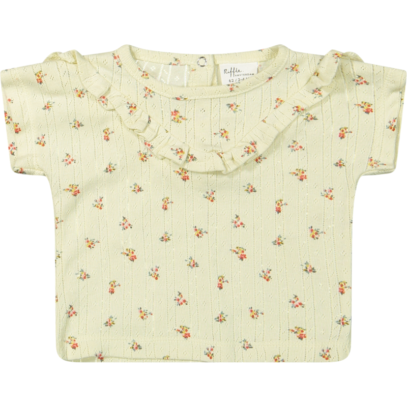 T shirt Mary(Jacquard Rib Aop Ecru Rose)