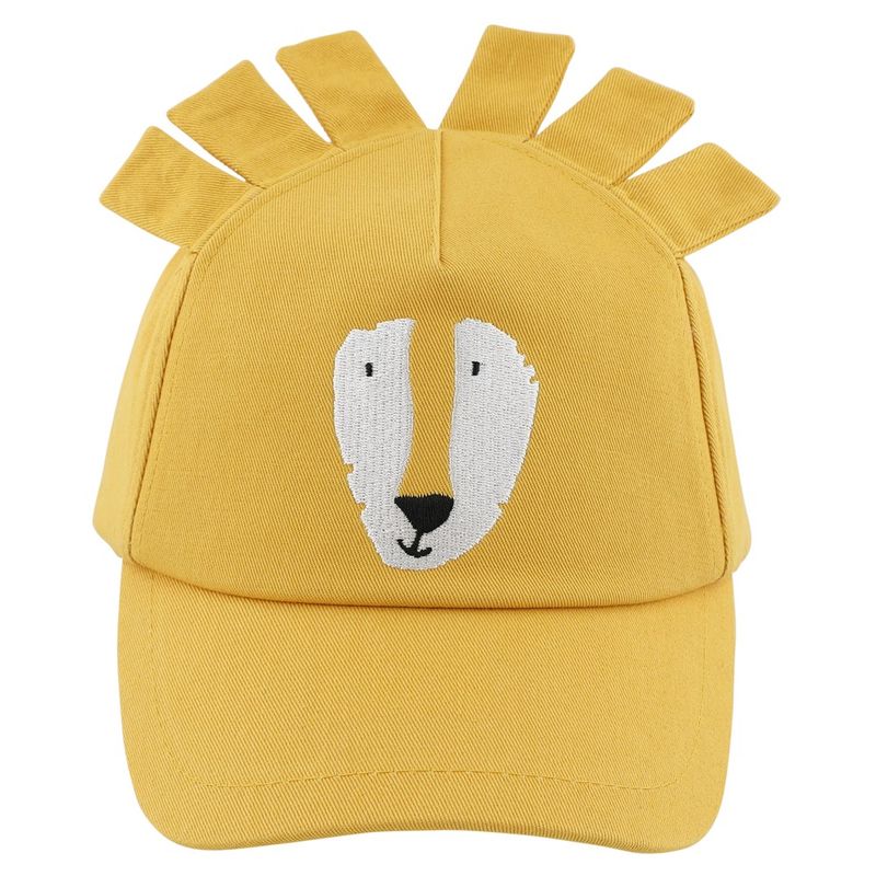 Pet- Mr. Lion