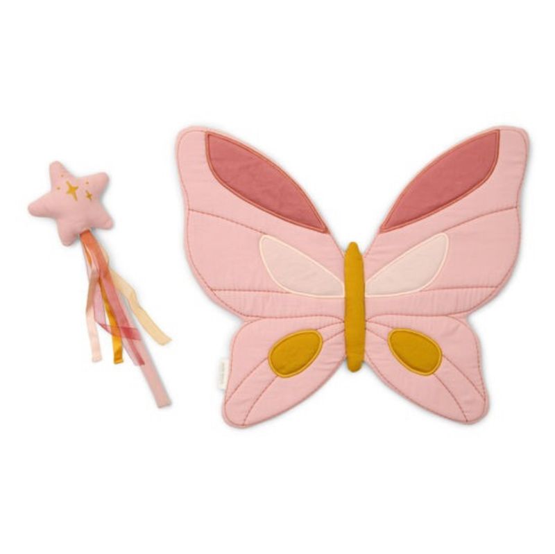 Fairy wings and magic wand