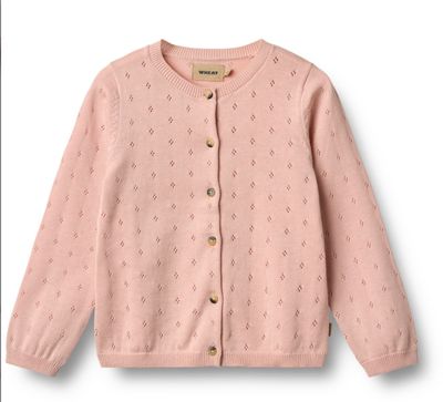 Knit Cardigan Maia-powder Knit Cardigan Maia-powder