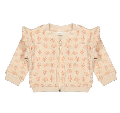 Bomber-Terry Seashells