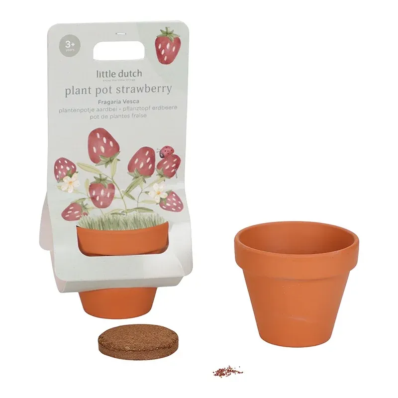 Plantenpotje Aardbei