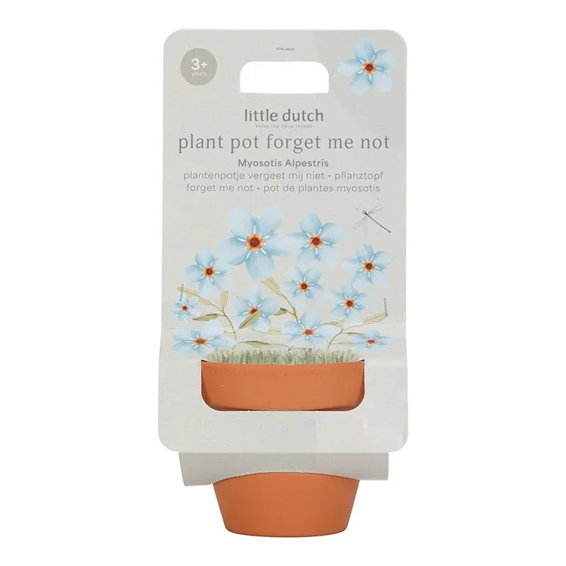 Plantenpotje Vergeet Mij Nietjes Plantenpotje Vergeet Mij Nietjes