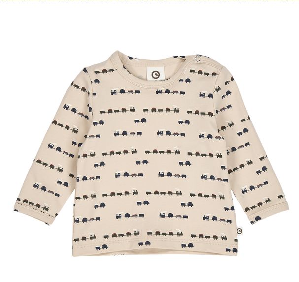 Train longsleeve  shirtje