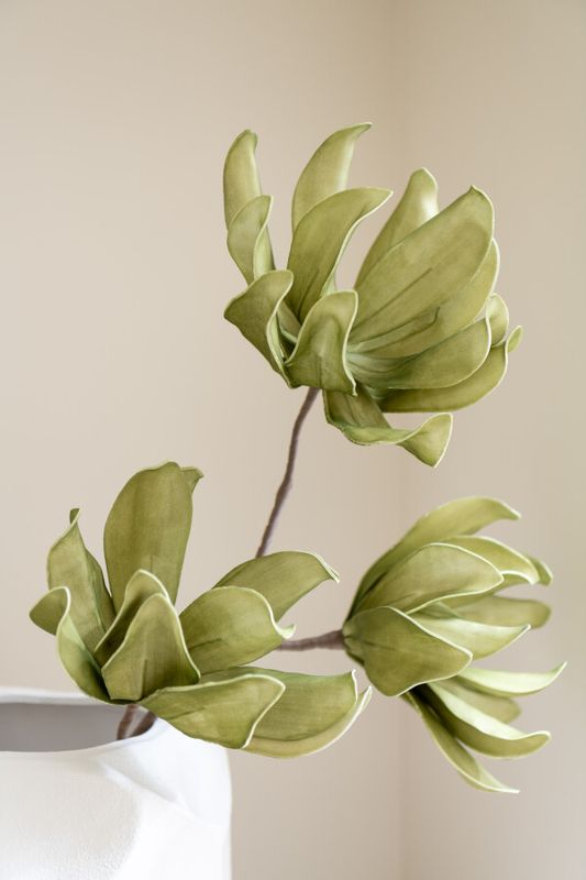 Bloem 3 Koppen Eva Groen