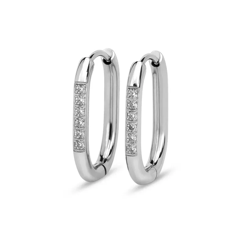 Friends Lila CZ Oorbellen