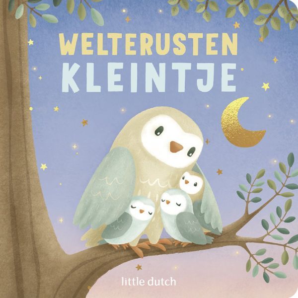 Little Dutch welterusten kleintje Kinderboek op rijm met dieren die gaan slapen, met maan en sterren in goudfolie op de cover.