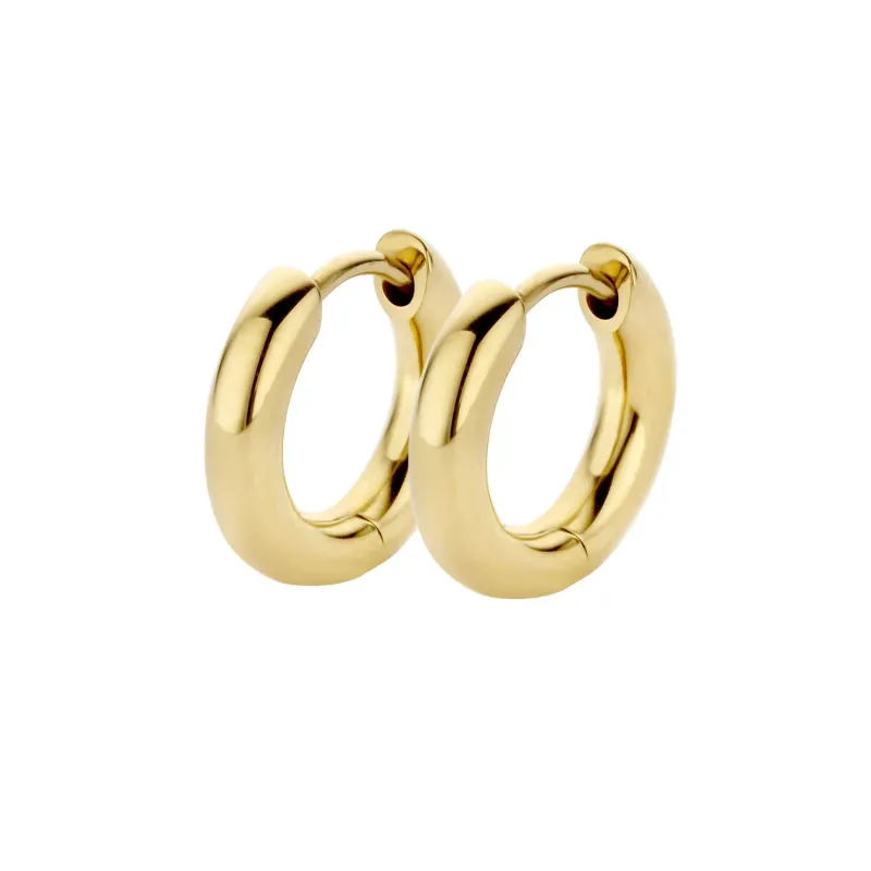 Friends Annabelle earring GD/SS