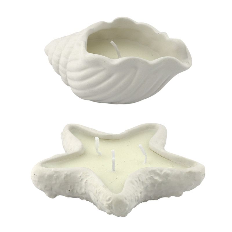 Kaars Kustschelp & Zeester