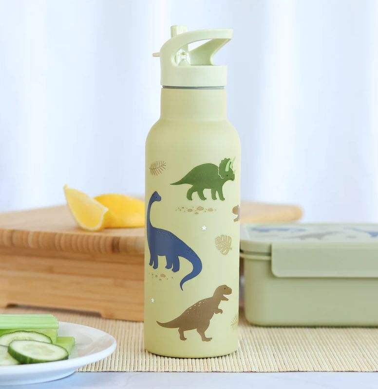 XL RVS drinkfles - Dinosaurussen