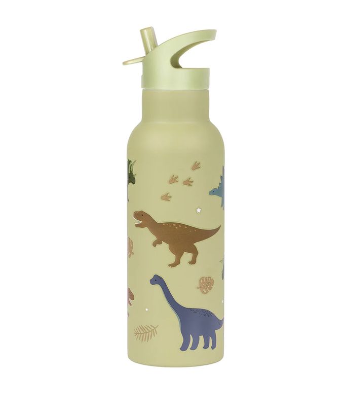 XL RVS drinkfles - Dinosaurussen